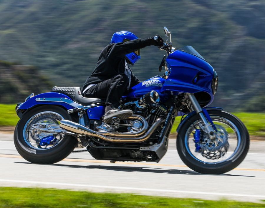 Harley Davidson Brake Rotors