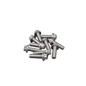 Front Dual Brake Rotor Hardware Kit. Hub Mounted ARP SS