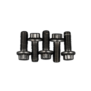 Rear Brake Rotor Hardware Kit. ARP BLK CHR